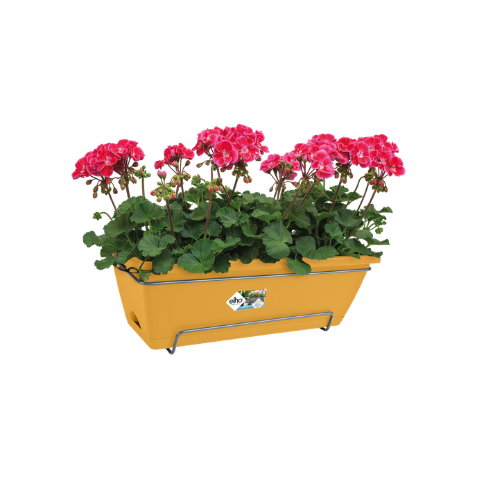 barcelona allin1 50cm honey yellow